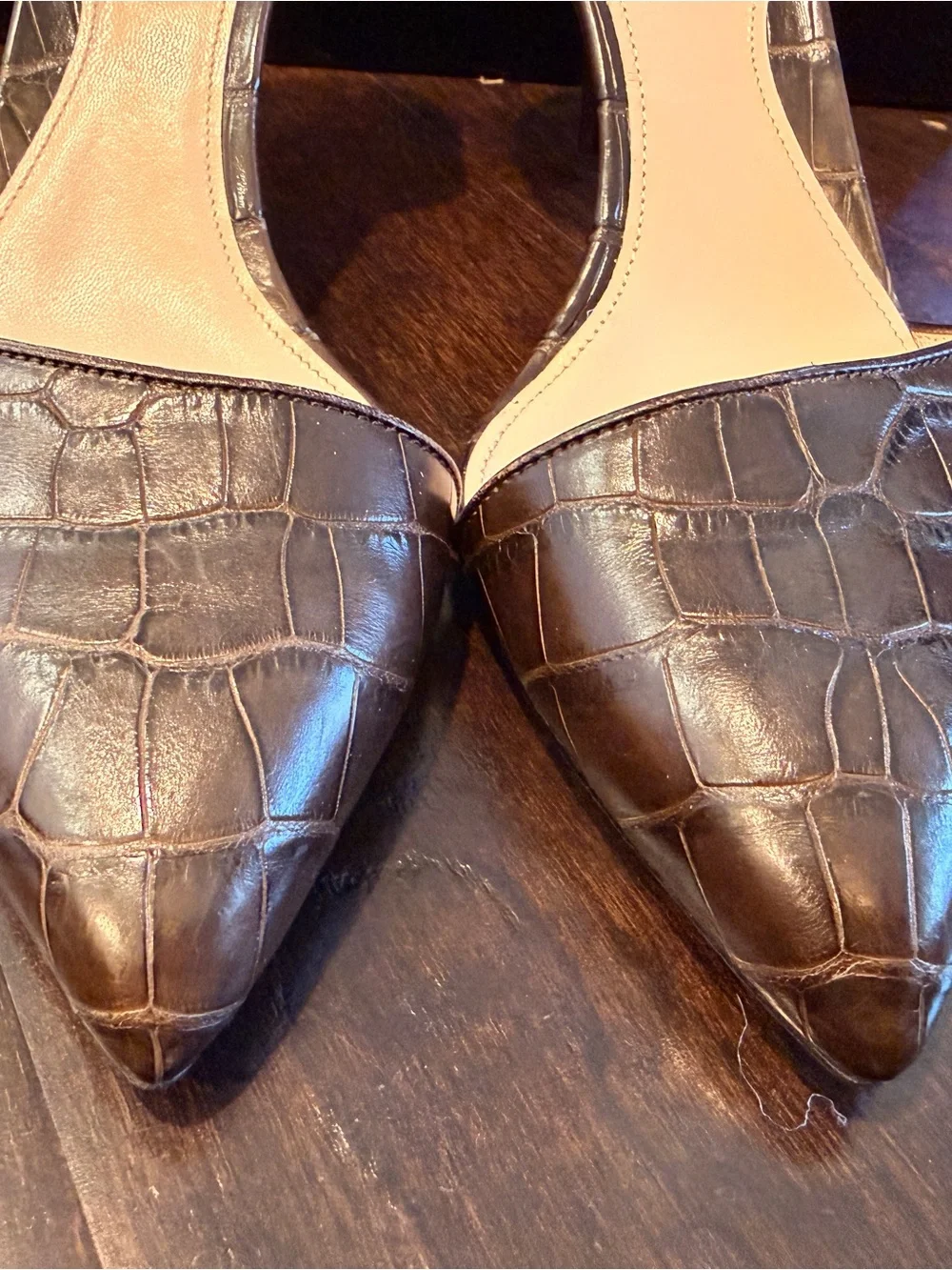 Giorgio Armani Shoes Women's Pointed D'orsay Pump In Dark Brown Croc